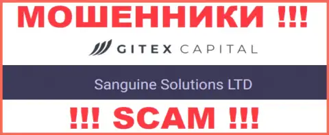 Юридическое лицо Гитекс Капитал - это Sanguine Solutions LTD, такую инфу опубликовали мошенники у себя на web-сервисе