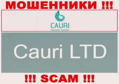 Не ведитесь на сведения о существовании юридического лица, Каури Ком - Cauri LTD, в любом случае облапошат