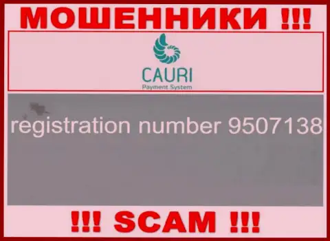 Номер регистрации, принадлежащий неправомерно действующей компании Каури Ком: 9507138