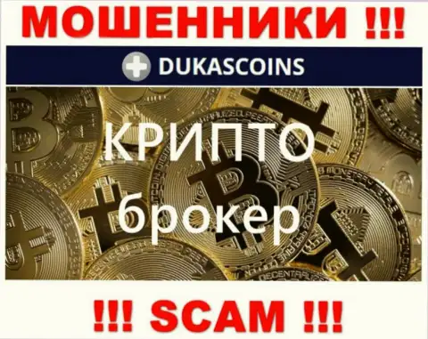 Сфера деятельности мошенников DukasCoin - это Crypto trading, однако помните это разводилово !