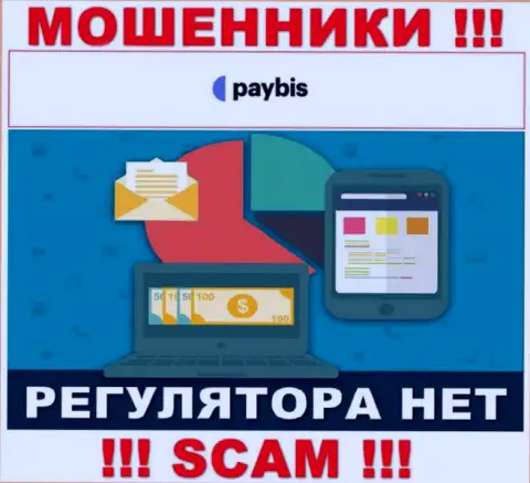 У PayBis на информационном ресурсе не найдено сведений о регуляторе и лицензионном документе компании, значит их вовсе нет