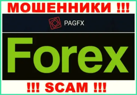 PagFX Com лишают денег наивных людей, работая в направлении Форекс