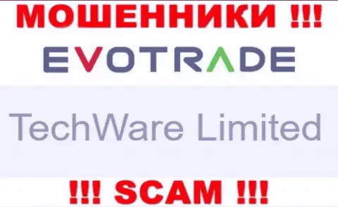 Юридическим лицом ТечВаре Лтд считается - TechWare Limited