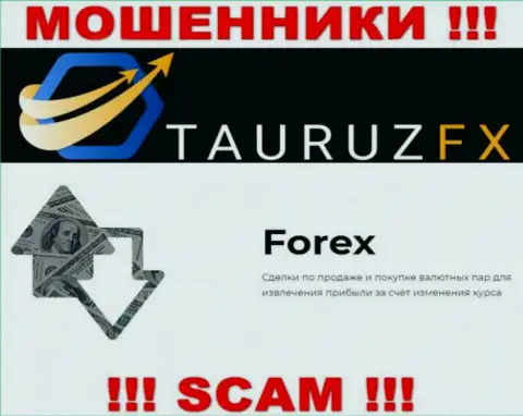 FOREX - это то, чем занимаются интернет мошенники TauruzFX Com