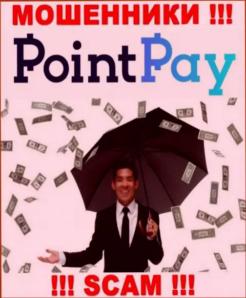 Не угодите в лапы интернет-воров Point Pay LLC, депозиты не вернете