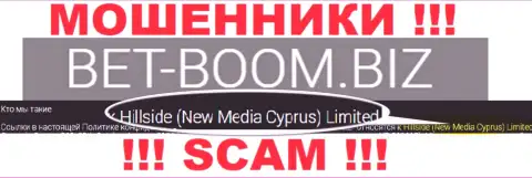 Юридическим лицом, управляющим интернет разводилами Bet-Boom Biz, является Hillside (New Media Cyprus) Limited
