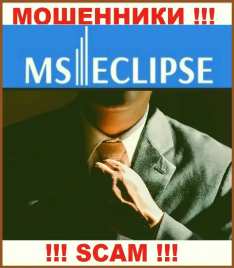 Сведений о лицах, которые руководят MSEclipse в глобальной интернет сети отыскать не представляется возможным