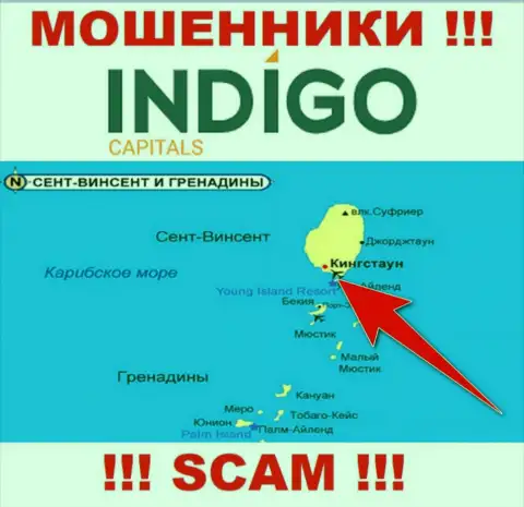Мошенники Indigo Capitals базируются на офшорной территории - Kingstown, St Vincent and the Grenadines