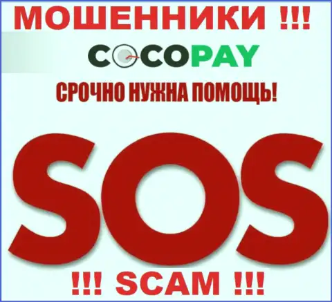 Можно попытаться забрать денежные вложения из компании Coco Pay, обращайтесь, узнаете, как быть
