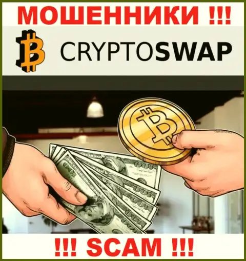 Не советуем верить Crypto-Swap Net, оказывающим услугу в области Криптообменник