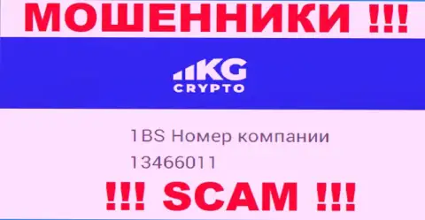 Регистрационный номер компании CryptoKG, в которую кровные советуем не отправлять: 13466011