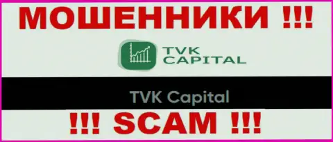 TVK Capital это юр лицо ворюг TVK Capital