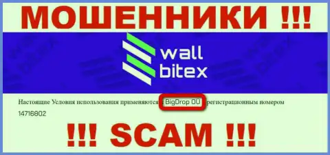 WallBitex - это МОШЕННИКИ !!! Руководит этим лохотроном BigDrop OÜ