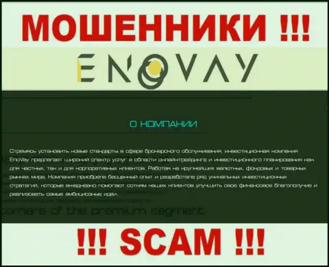 Так как деятельность интернет мошенников EnoVay Com - это сплошной обман, лучше сотрудничества с ними избегать