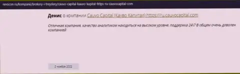 Организация CauvoCapital описана в отзыве на сайте Ревокон Ру