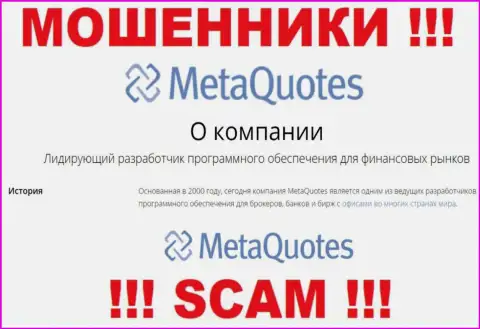 Разработка ПО - в данном направлении оказывают свои услуги интернет-мошенники MetaQuotes Ltd